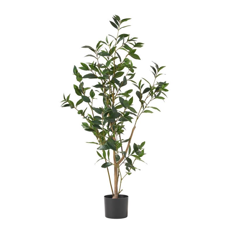 Atoka 5.5' x 2' Artificial Laurel Tree by Christopher Knight Home