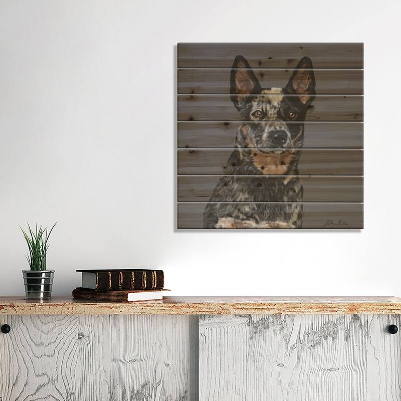 Australian Cattle Dog Print On Wood by Vicki Newton - Multi-Color