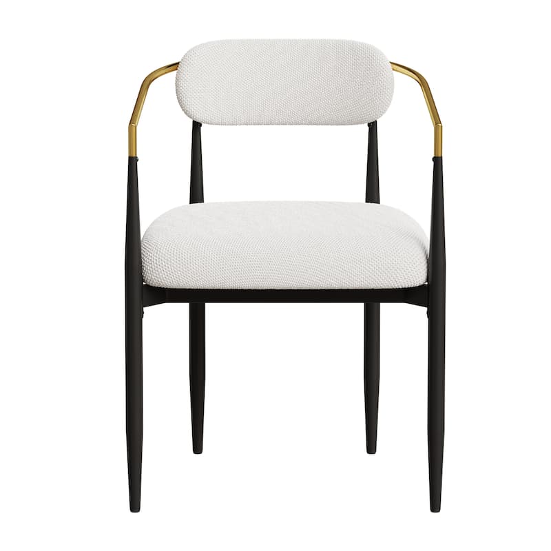 Modern Dining Chairs, Teddy Velvet w/Metal Legs, Home/Office, 2 Pcs