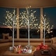 preview thumbnail 4 of 5, Set of Lighted Birch Tree Christmas Tree for ​Decoration Inside and Outside - 4 FT, 5 FT and 6 FT