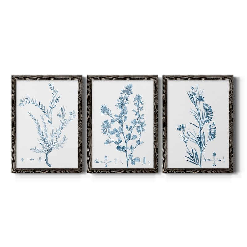 Antique Botanical in Blue VII-Premium Framed Canvas - Ready to Hang - Multi-Color