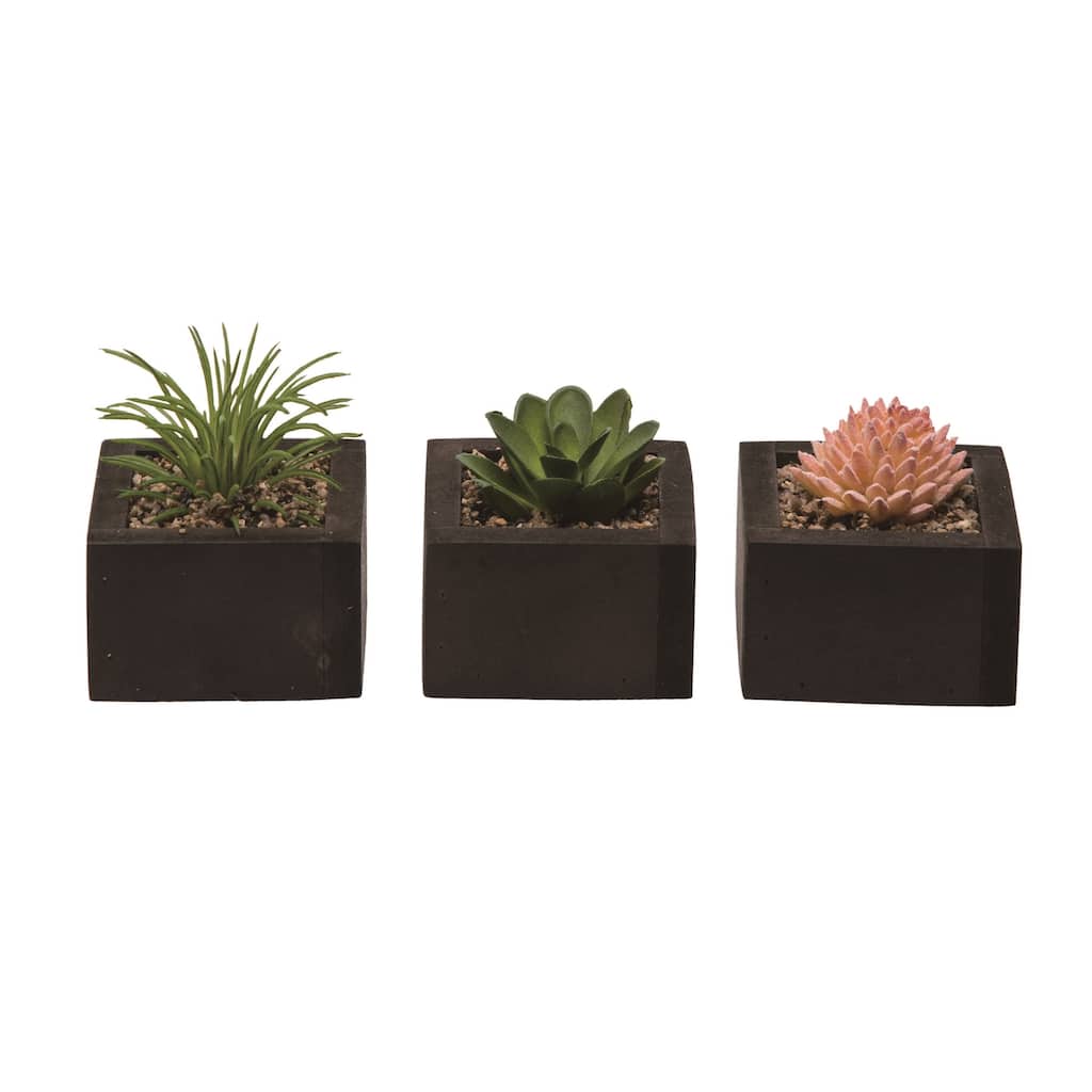Transpac Square Faux Succulent in Container Set of 3 Spring Home Decorations