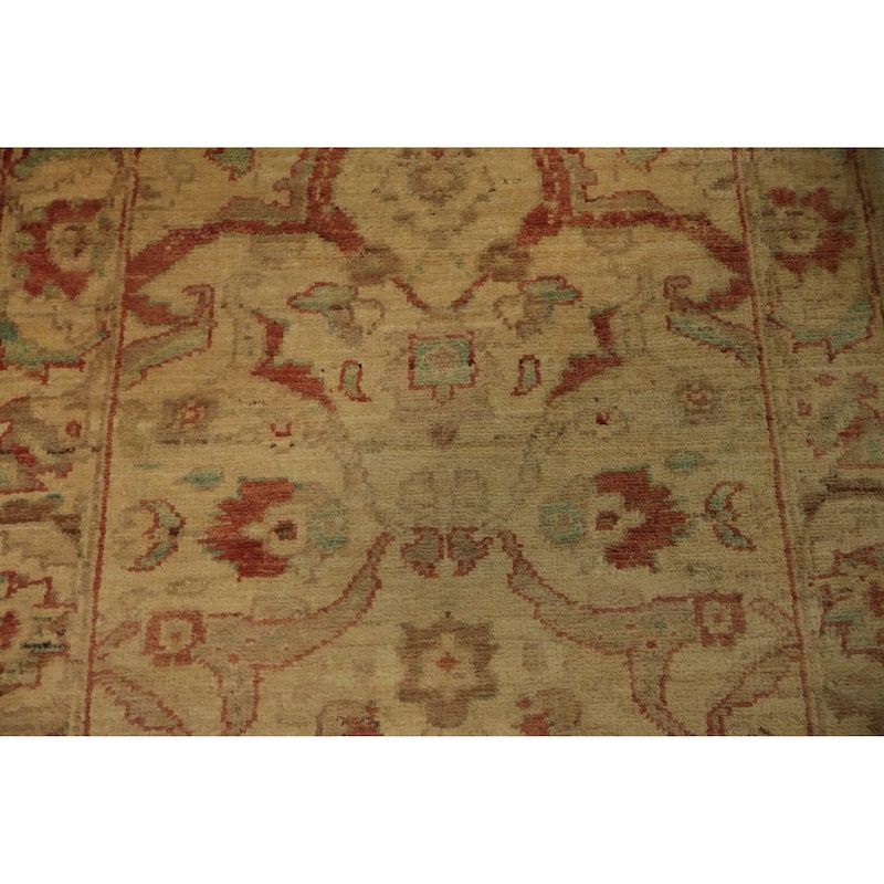 Hand Knotted Oriental 100% Wool Carpet Traditional Floral Beige & Ivories Peshawar Runner Rug - 12' 9'' X 2' 5''