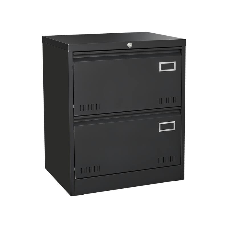 Metal Lockable File Cabinet with Lock and 2 Drawers