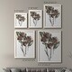 preview thumbnail 22 of 43, Growing Wild I-Premium Framed Canvas - Ready to Hang