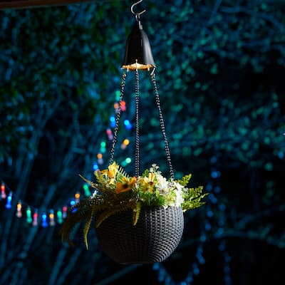Baimuru 30-inch Height Solar Lighted Hanging Plastic Planter by Havenside Home