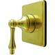 Option Brushed Brass