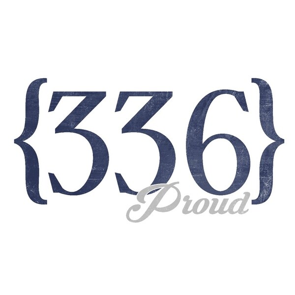 Winston Salem North Carolina 336 Area Code Blue Lantern Press Artwork Art Print Multiple Sizes Available