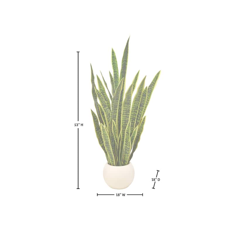 53" Potted Sansevieria Plant