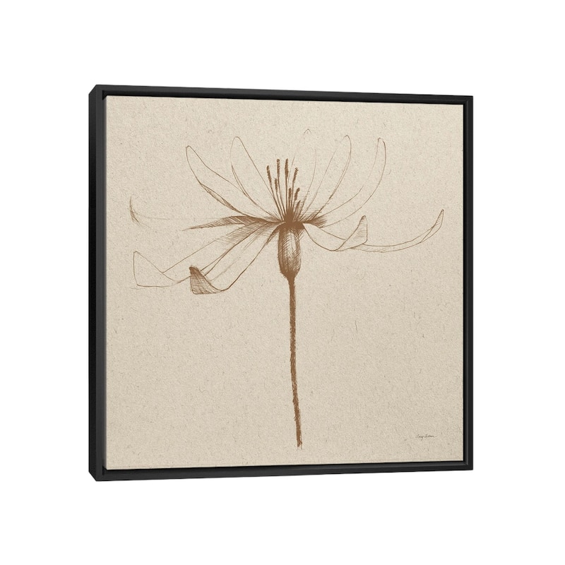 iCanvas "Modern Vintage Floral III" by Avery Tillmon Framed - Black - 18x18