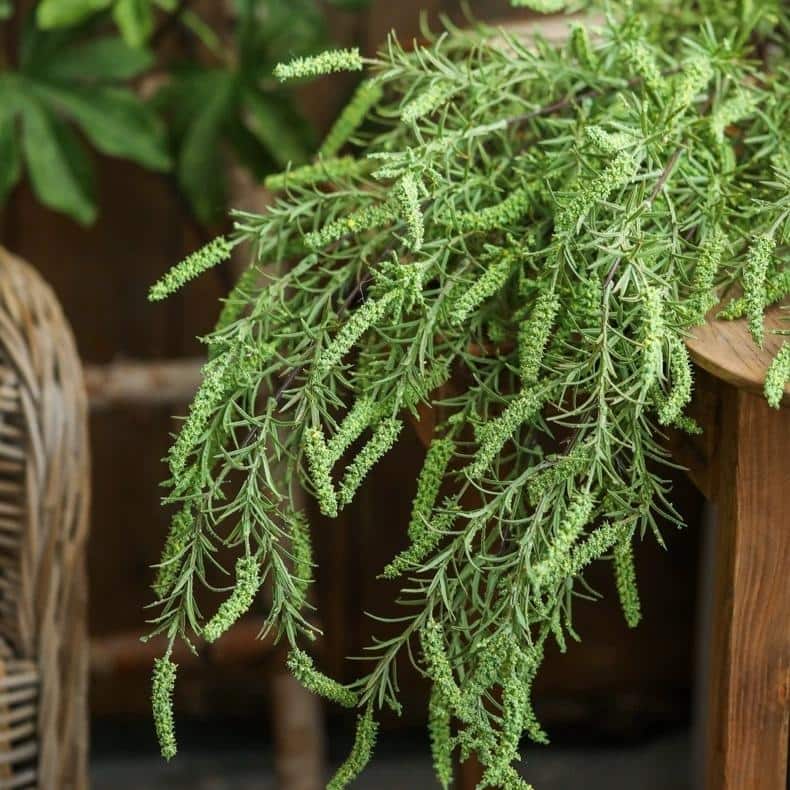 RusticReach Artificial Large Rosemary Stem in Green 49" Tall