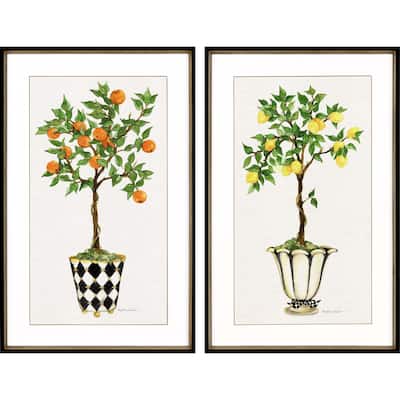 Fruit Topiary S/2 Framed Art Exclusive Giclee Under Glass - Multi-Color