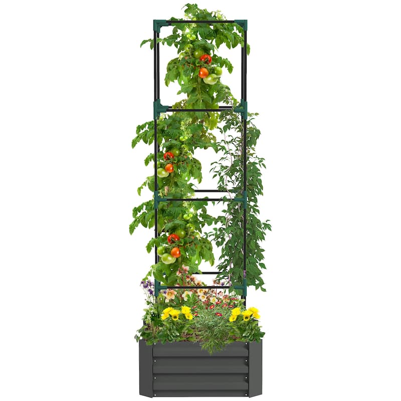 Outsunny Galvanized Raised Garden Bed, 24" x 24" x 11.75" Outdoor Planter Box with Trellis Tomato Cage and Open Bottom