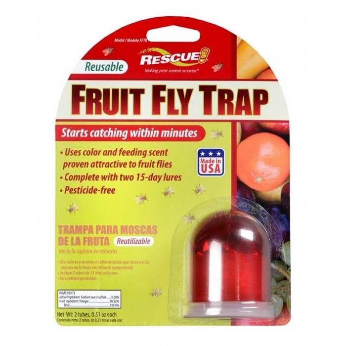 fly trap attractant
