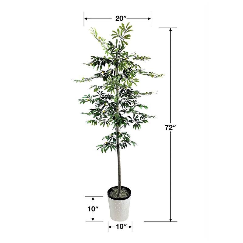 6-foot Artificial Olive Tree in White Metal Base