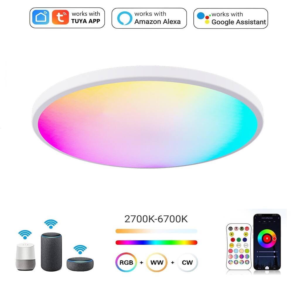 12 Inch Smart LED Flush Mount Ceiling Light APP & Voice Control - 12 inch