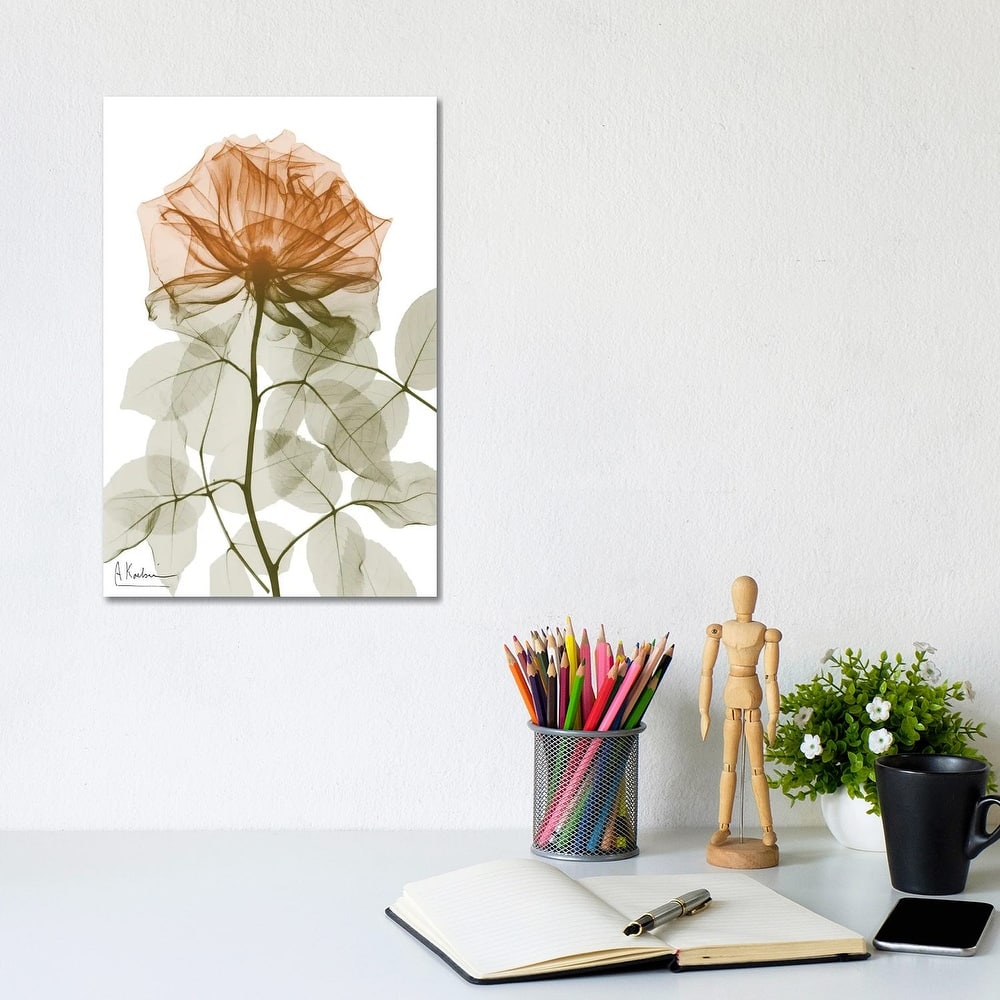 iCanvas "Urban Jungle Rose I" by Albert Koetsier Canvas Print