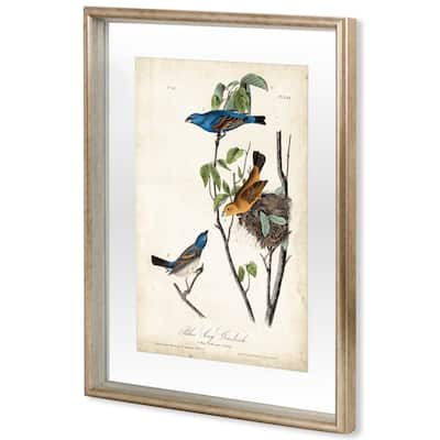 Custom Blue Song Grosbeak (MC) Framed Art Print