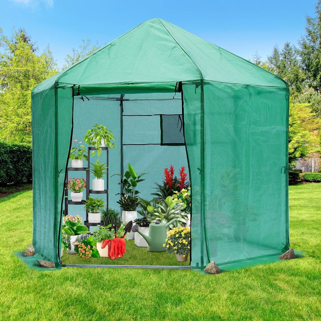 Walk-in Greenhouse, Metal Frame with PE Cover, Roll-Up Door & Window