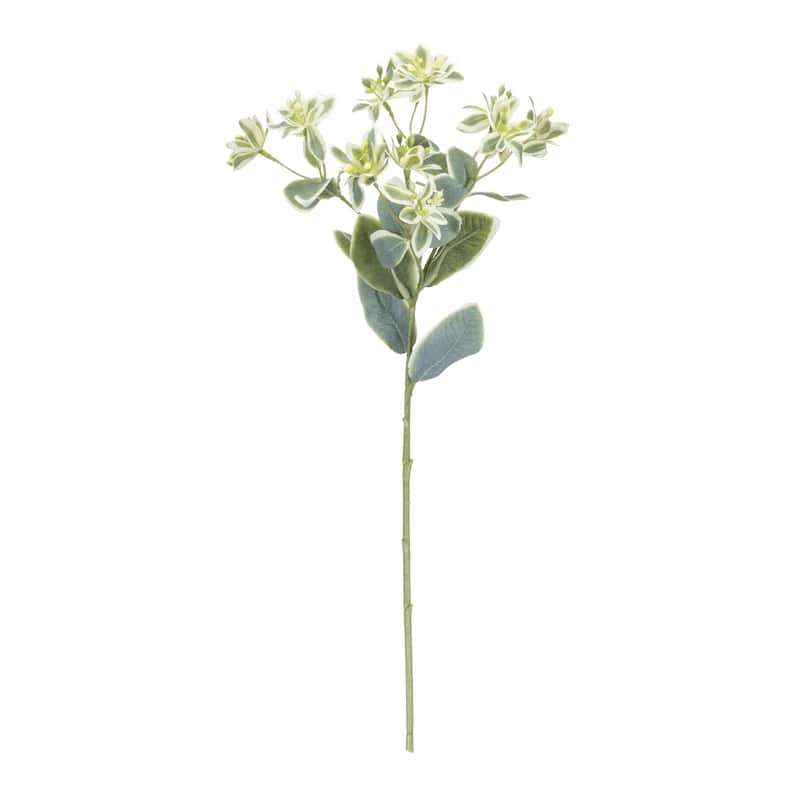 Euphorbia Floral Stem (Set of 6) - Green, White