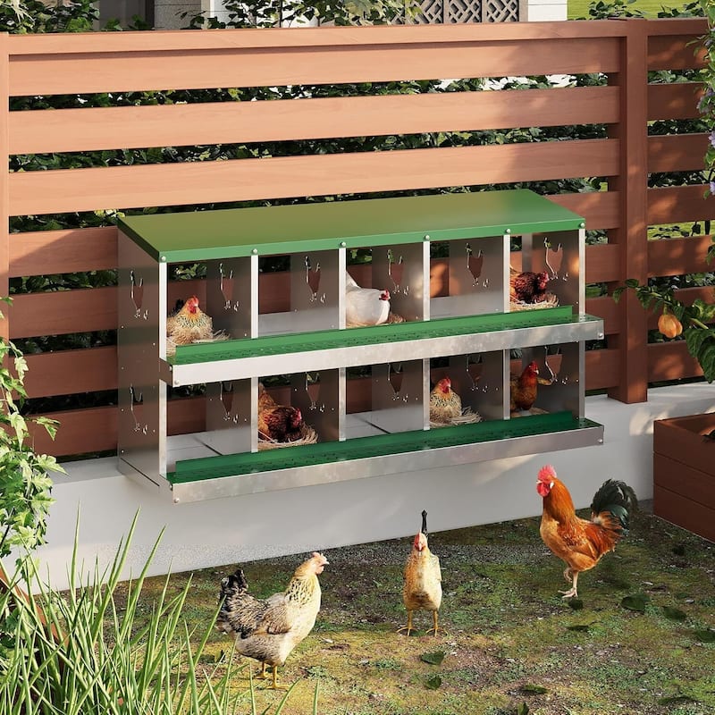 Wall-Mount or Free-Standing Metal Chicken Nesting Box for Hens, Green - Green 10 Compartments