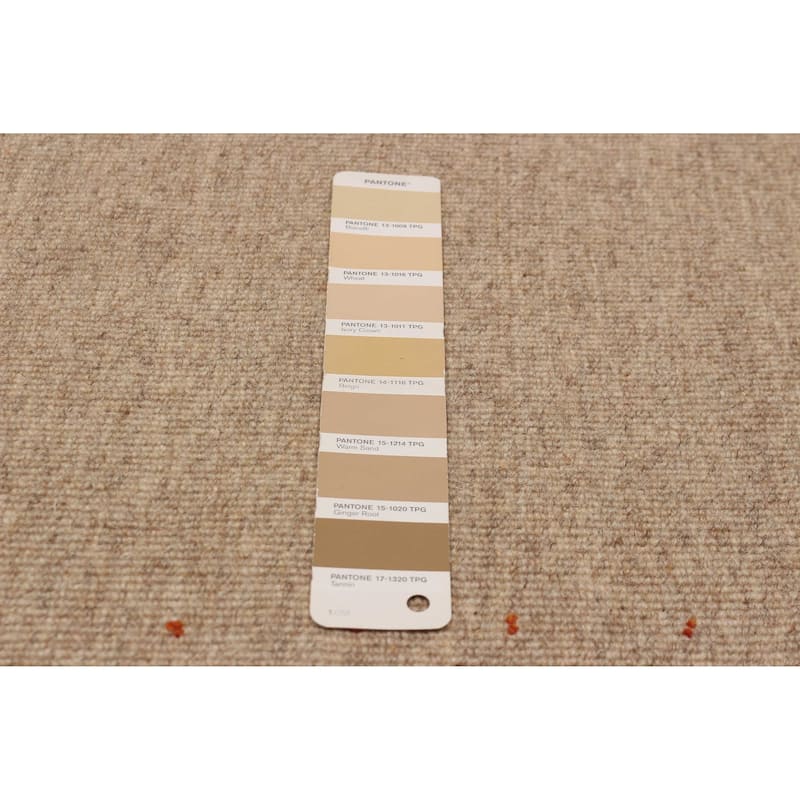 Kashkuli Gabbeh Tan Rug 7'10" x 11'0" - 7'10 x 11'0