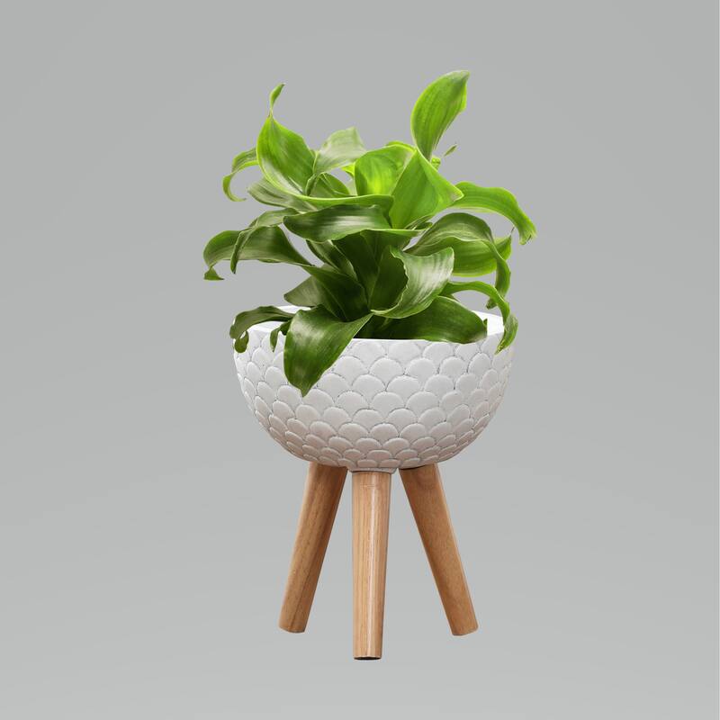 Scallop Embossed White 12.2-Inch Round MgO Planter with Brown Wood Legs - Planter + Legs: 14.17" hx 12.21" Diameter