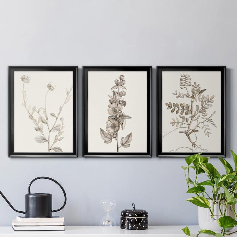 Neutral Botanical Study IV Premium Framed Canvas - Ready to Hang - Multi-Color