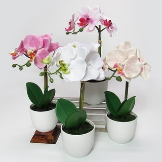 Artificial Phalaenopsis Orchid Flower Arrangement in White Pot 13in