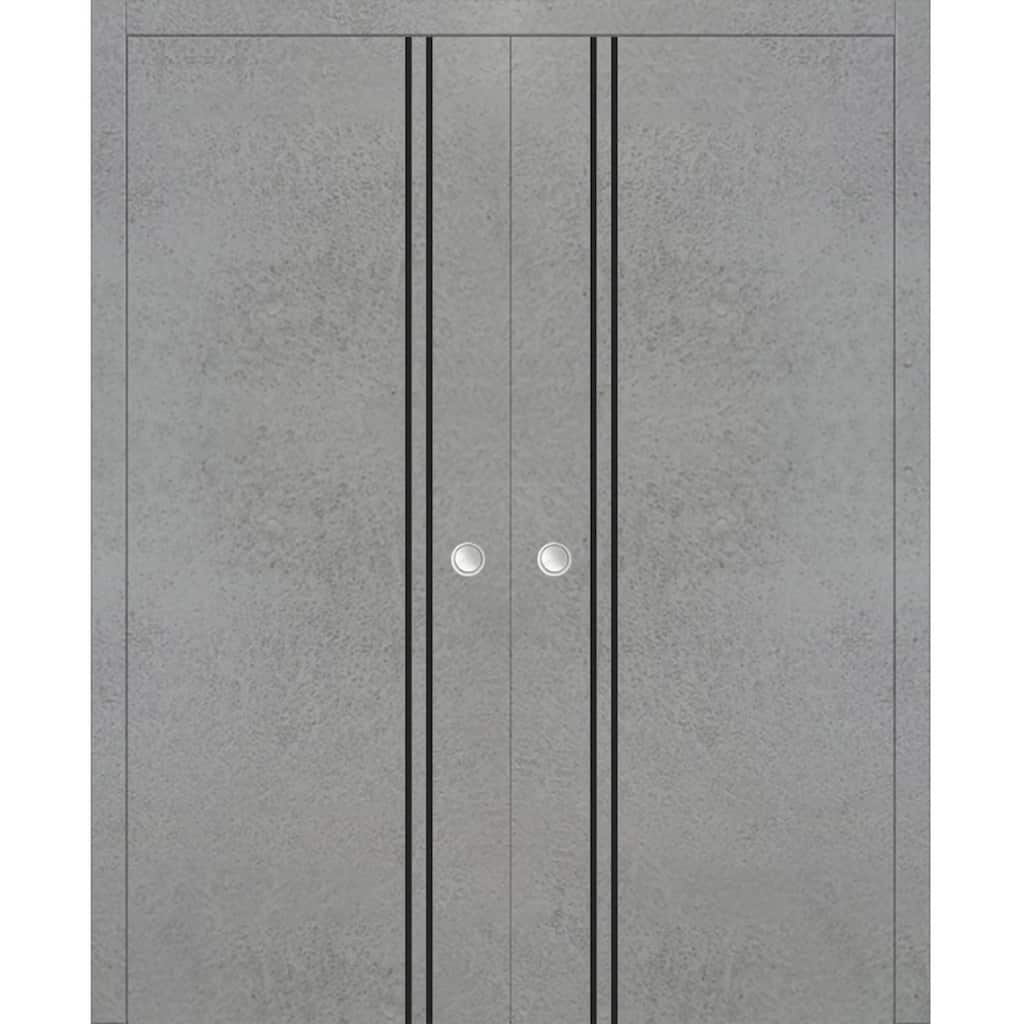 French Double Pocket Doors 36x80 Planum 0016 Concrete with Kit Trims Rail