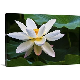 White Lotus Flower Canvas Wall Art Overstock