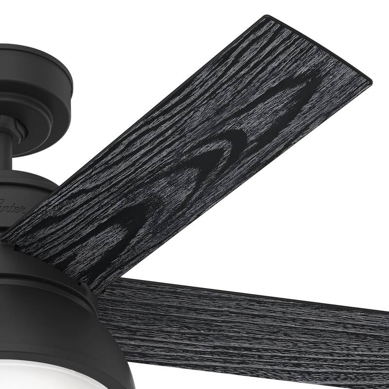 Hunter 44" Lilliput Indoor Ceiling Fan with LED Light, Pull Chain - Modern Industrial, Farmhouse - Exclusive SureSpeed!