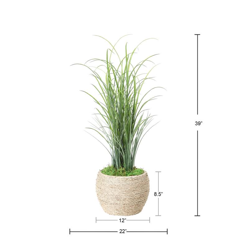 Grass in Strawgrass Planter - 39