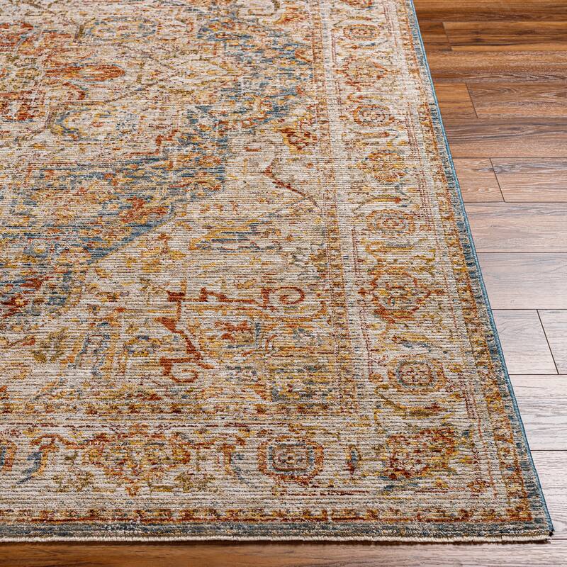 Zeynepe Traditional Medallion Area Rug