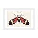 preview thumbnail 7 of 18, iCanvas "Red Butterfly" by Ana Martinez White - 16x24x1