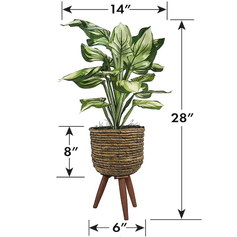 28-inch Artificial Hosta in Brown Basket Stand