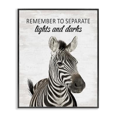 Stupell Remember To Separate Laundry Framed Giclee Art Design By Lettered and Lined