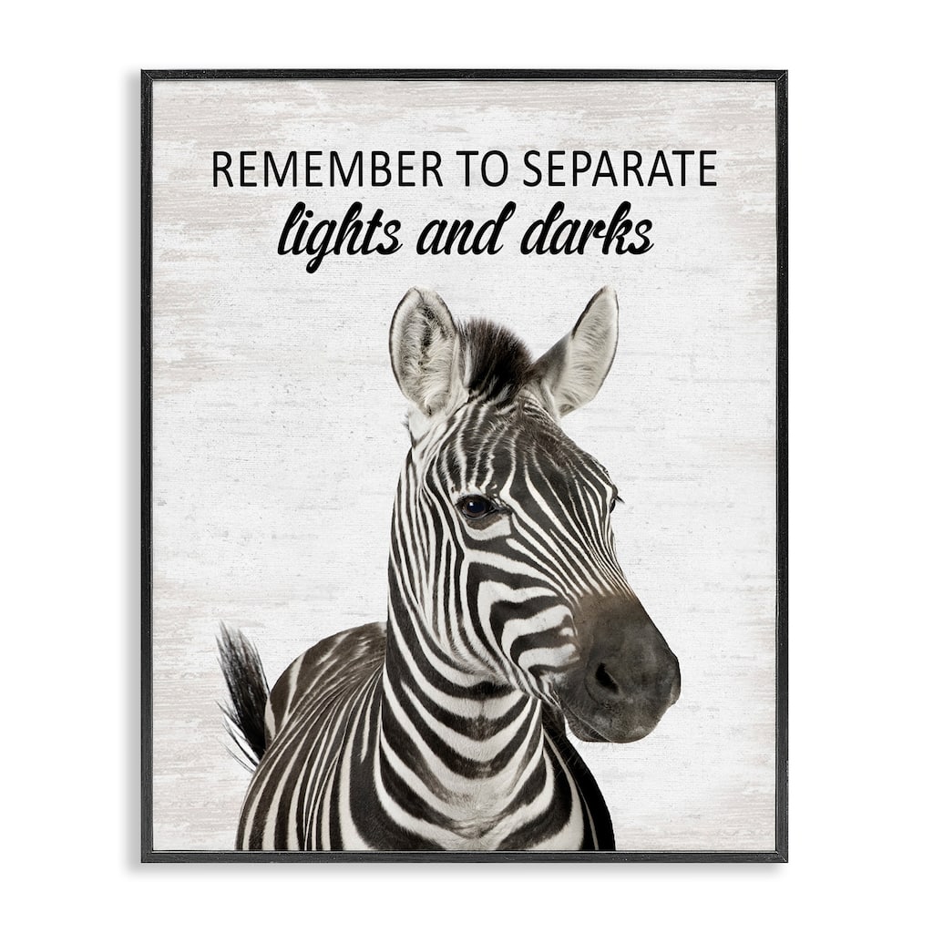 Stupell Remember To Separate Laundry Framed Giclee Art Design By Lettered and Lined