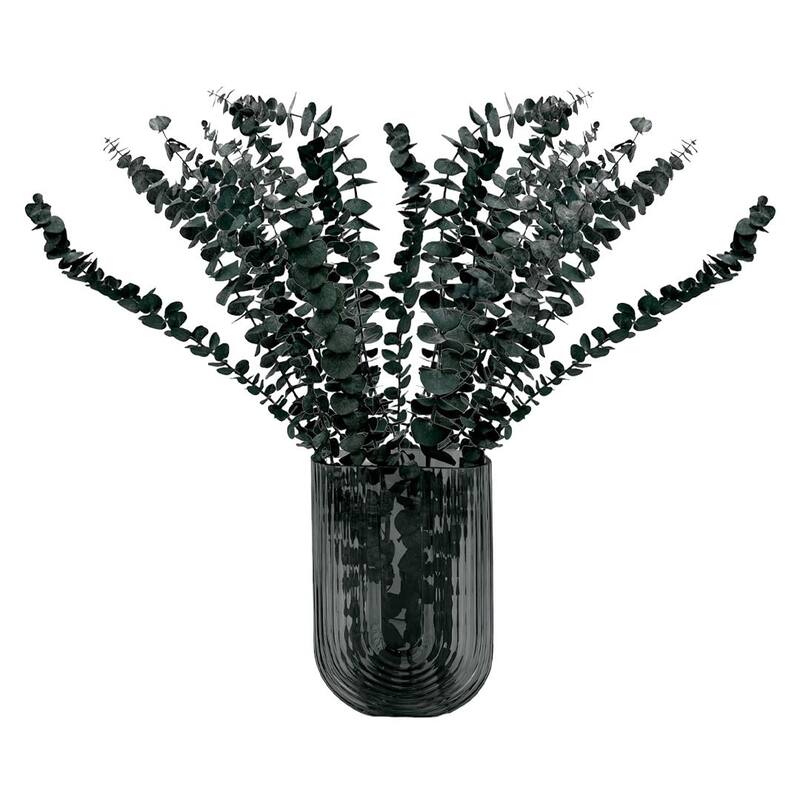 Bundle of 4 Preserved Eucalyptus Leaves ,17-23" long - 20 inches