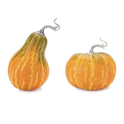 Pumpkin and Gourd Fall Harvest Decorations - 8.5" - Orange - Set of 2