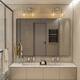 Option Brushed Nickel