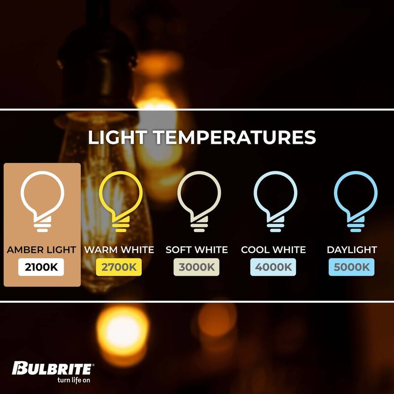 Bulbrite Pack of (4) Dimmable Antique Nostalgic Filament Incandescent Bulb