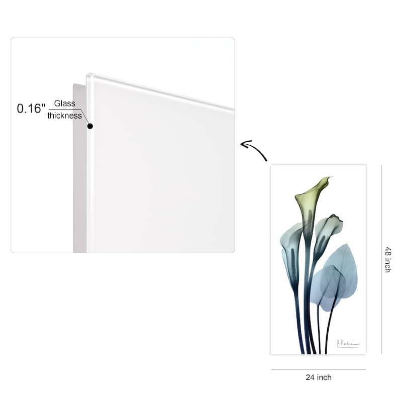 "Calia Lily" Frameless Free Floating Tempered Glass Panel Graphic Wall Art