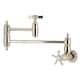 Option Polished Nickel