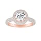 Option Rose