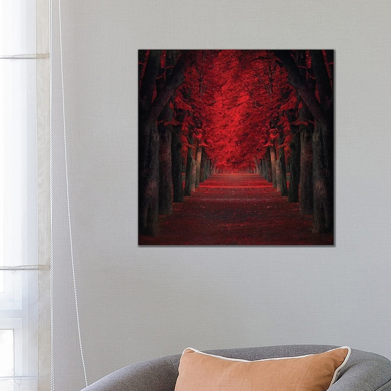 iCanvas "Endless Passion" by Ildiko Neer Canvas Print - 26x26x1.5