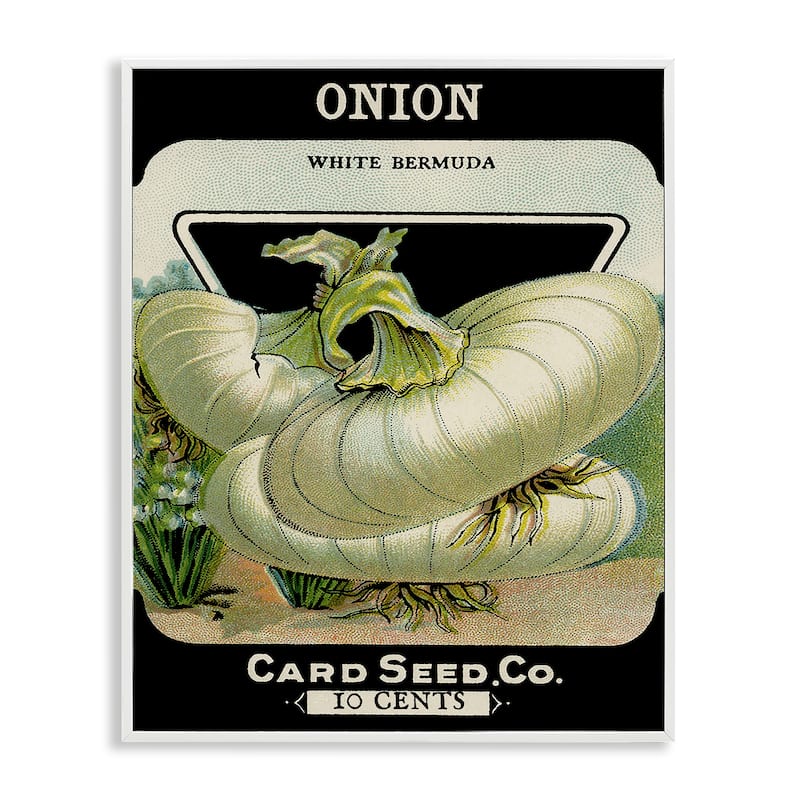 Stupell Vintage Garden Onion Framed Giclee Art Design By Lil' Rue - 16 x 20 - White