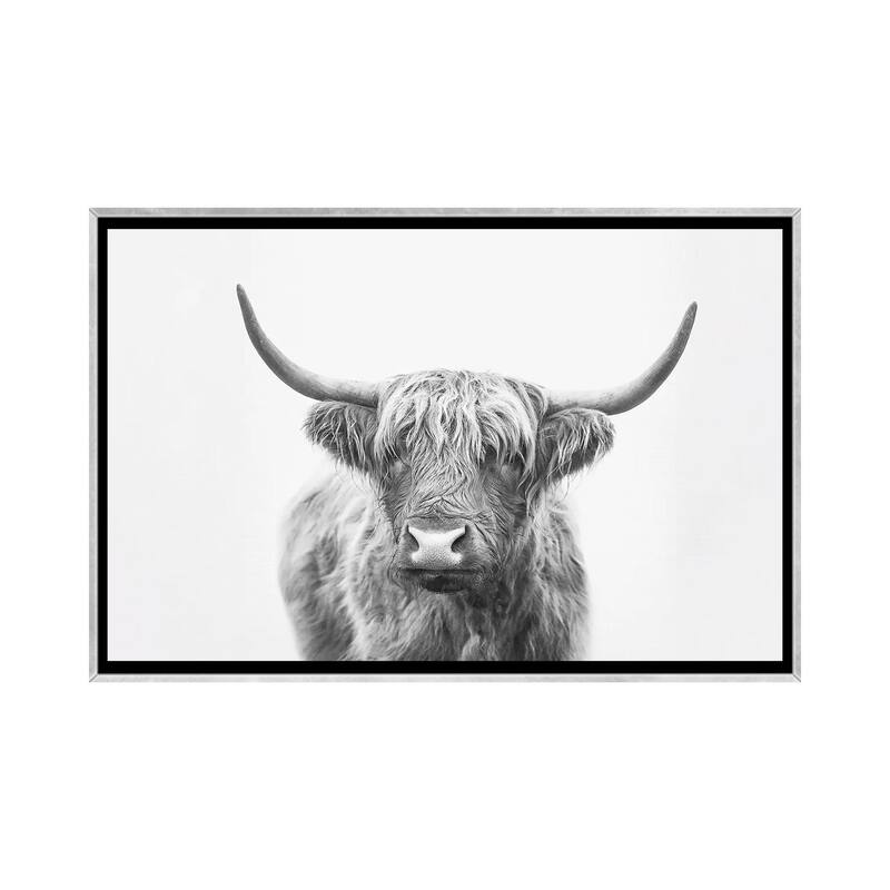 iCanvas "Highland Bull" by Sisi & Seb Framed