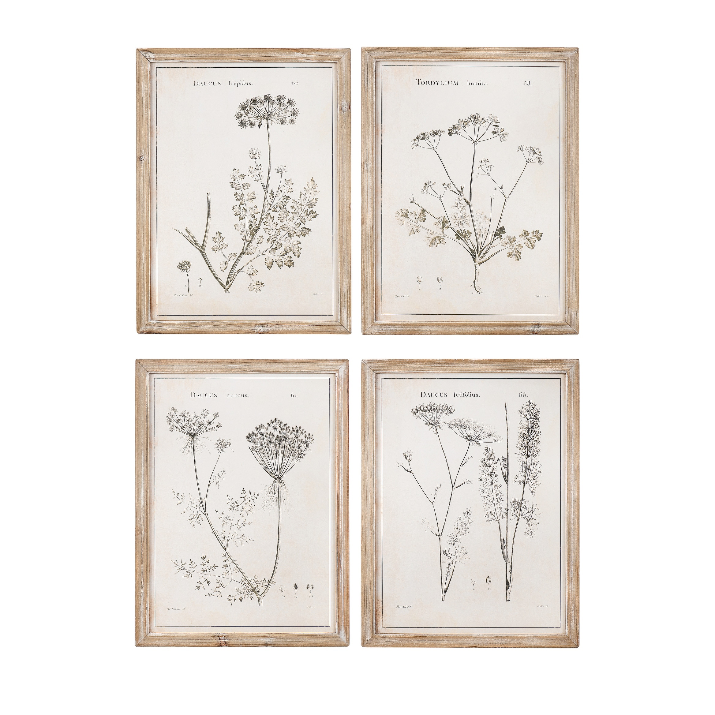 Vintage Reproduction Botanical Print Wood Framed Wall Art Set Of 4 Styles Beige On Sale Overstock 31298554
