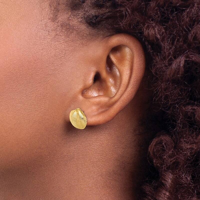 Curata 10k Yellow Gold Large Clam Shell Post Earrings - 12.98x14.74mm